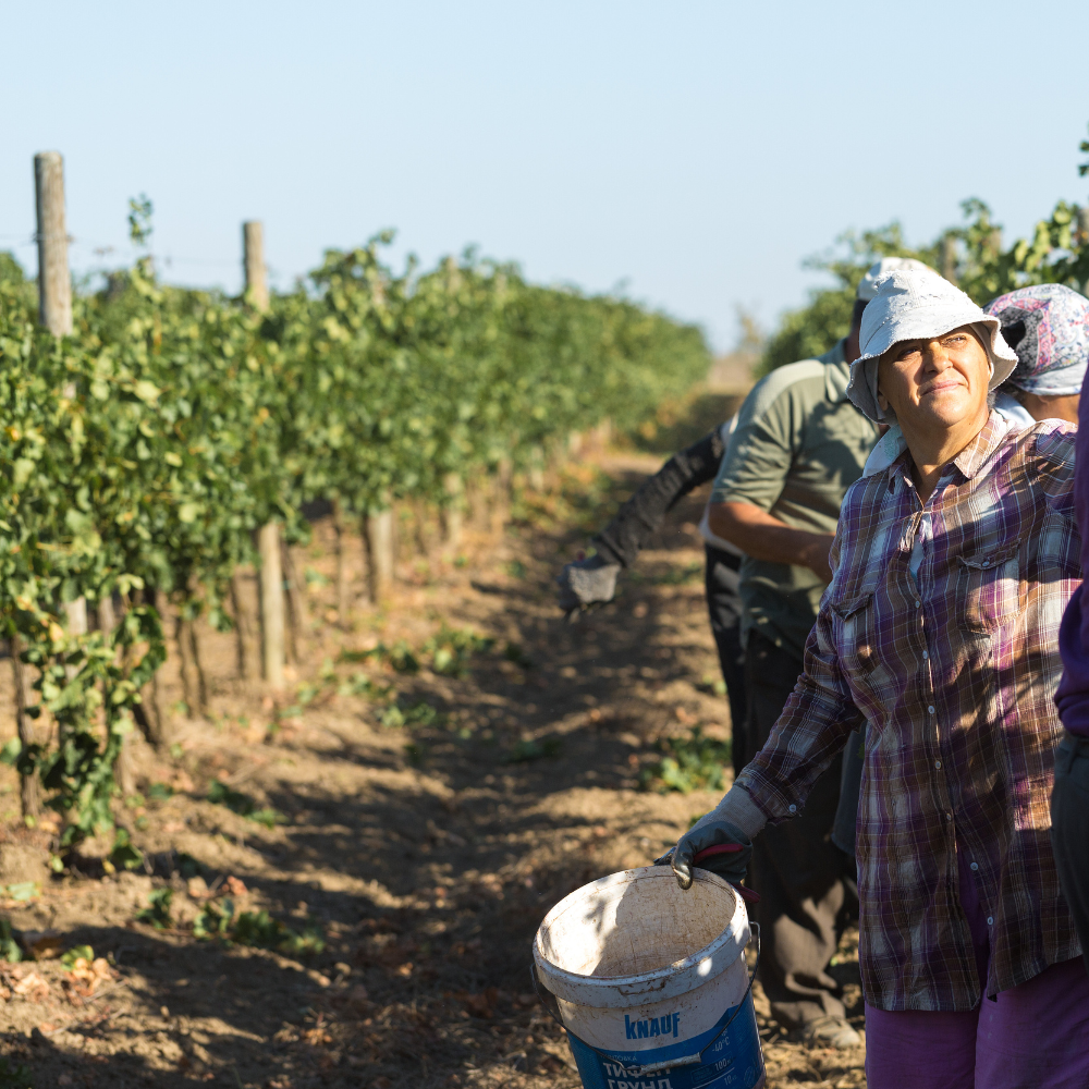 Egyszerűsített foglalkoztatás jogszerűen